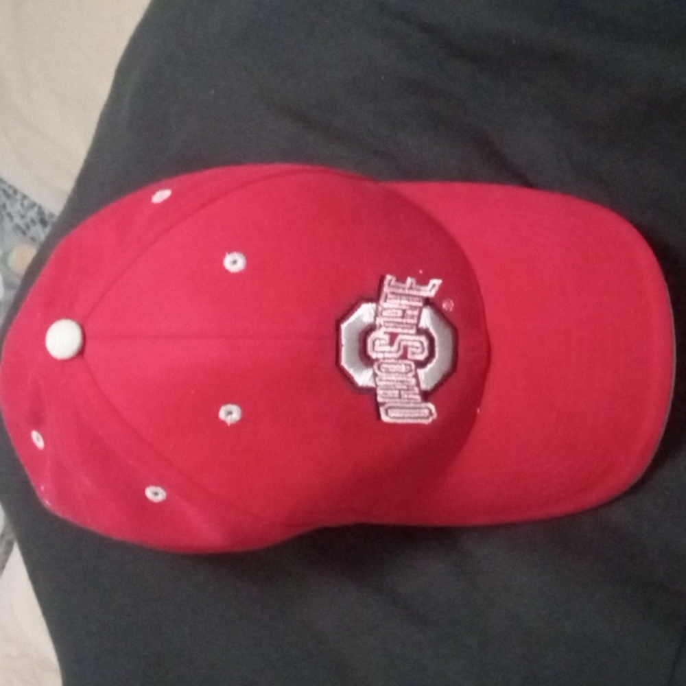 Ohio State Buckeye's Signatures Collegiate Adjustable cap